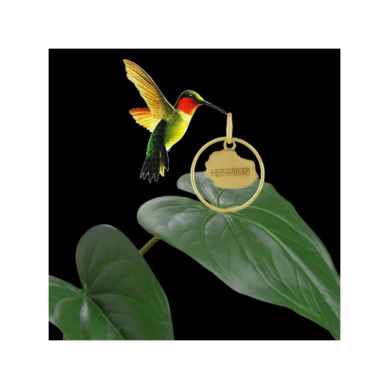 Pendentif Entourage Carte Réunion or bijouxcreoles.com Pendentif Entourage Carte Réunion or bijouxcreoles.com