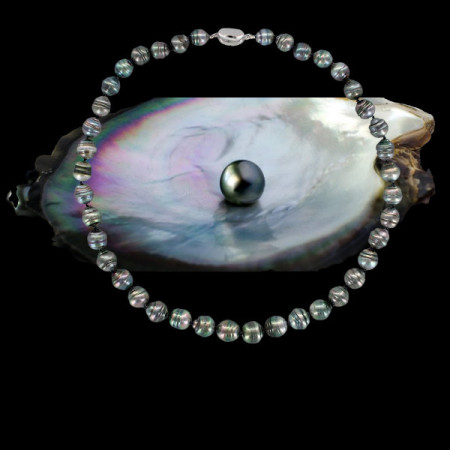 Collier perles de culture de Tahiti