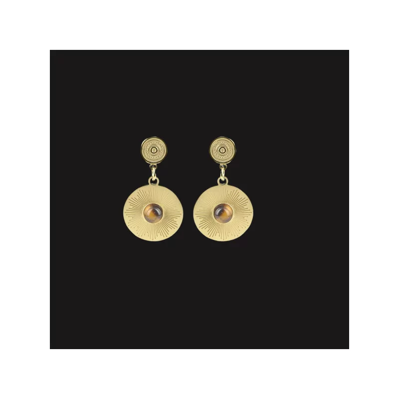 Steel Earrings with Stones