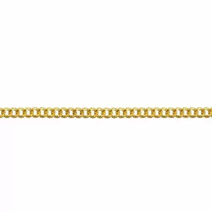 Gourmette Gold filled chain 40