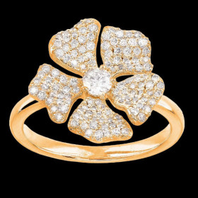 Bijoux Cr&eacute;ole Or