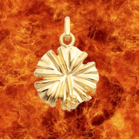 Bijoux Cr&eacute;ole Or