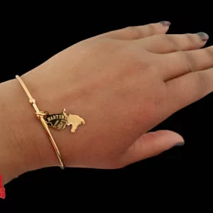 Steel Map of the Islands Bracelet