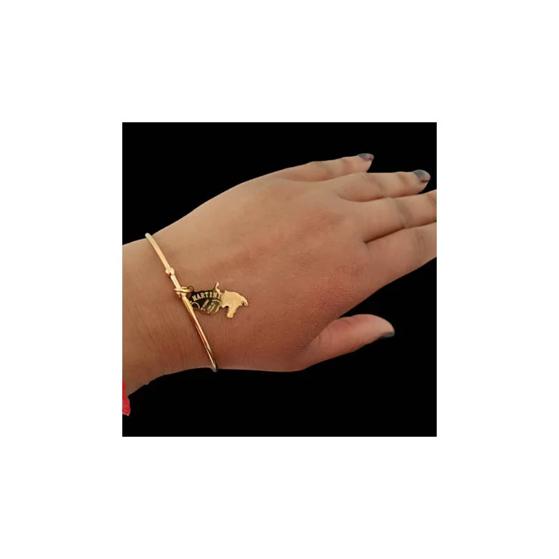 Bracelet Carte des iles Acier bijouxcreoles.com