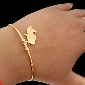 Bracelet Carte des iles Acier bijouxcreoles.com