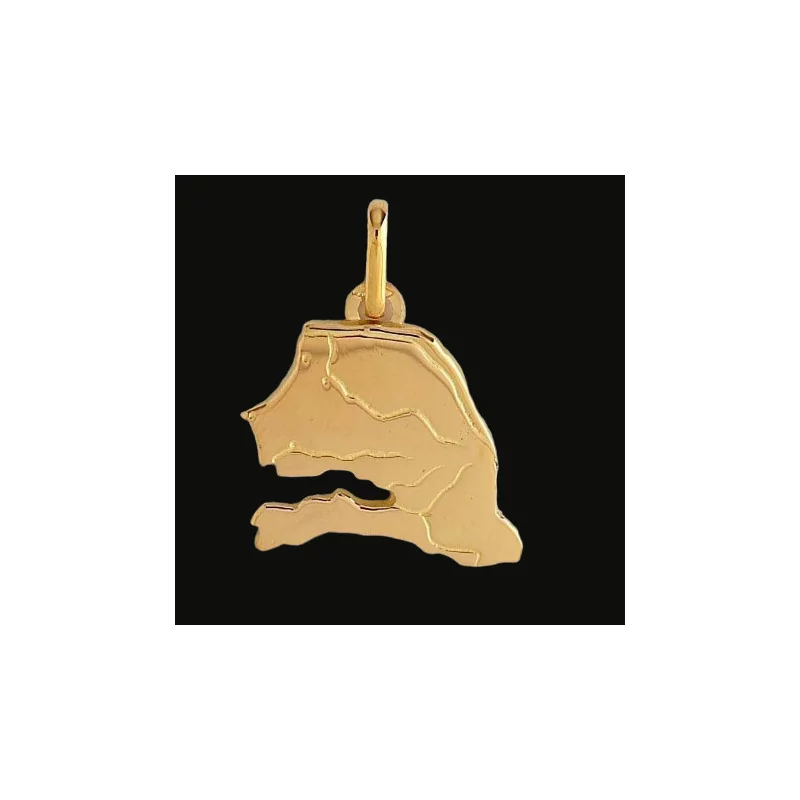Senegal Map Pendant in Yellow Gold Senegal Map Pendant in Yellow Gold