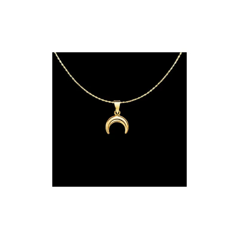 Mini Shiny Gold Horn Pendant Chain