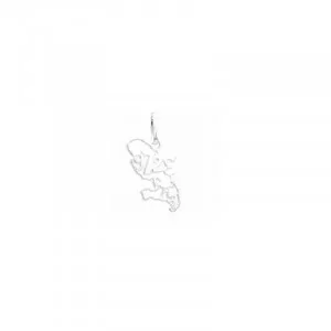 Pendentif La Guyane Argent bijouxcreoles.com