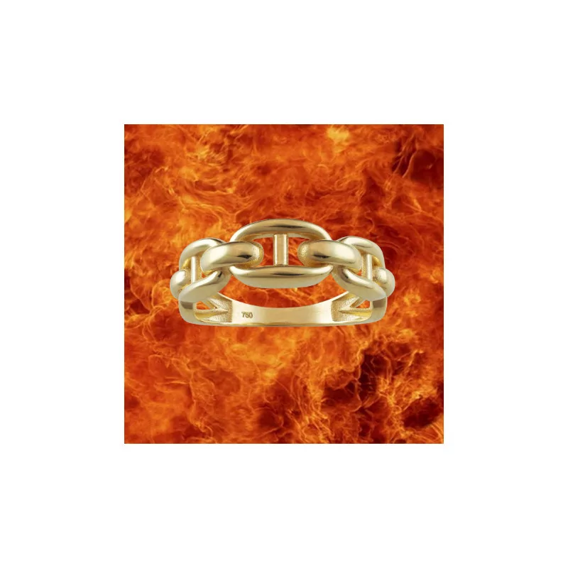 Marine Link Ring 6mm 18 Karat Yellow Gold Marine Link Ring 6mm 18 Karat Yellow Gold
