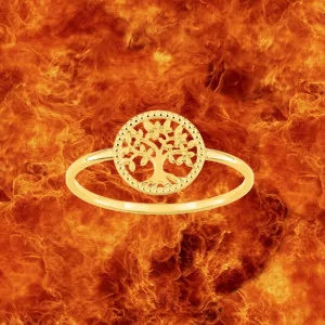 Bijoux Nez 971 Or bijouxcreoles.com
