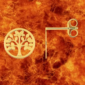 Bijoux Nez 971 Or bijouxcreoles.com