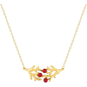 Bijoux Nez 971 Or bijouxcreoles.com