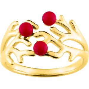 Bijoux Nez 971 Or bijouxcreoles.com