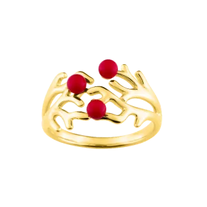 Bijoux Nez 971 Or bijouxcreoles.com