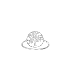 Bijoux Nez 971 Or bijouxcreoles.com