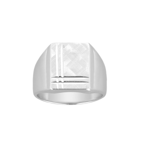 Chevali&egrave;res en argent