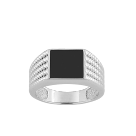 Chevali&egrave;res en argent
