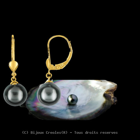 Dormeuses perles de culture de Tahiti