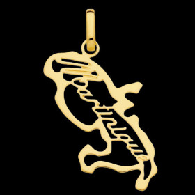 Hollowed Out Gold Martinique Map Pendant
