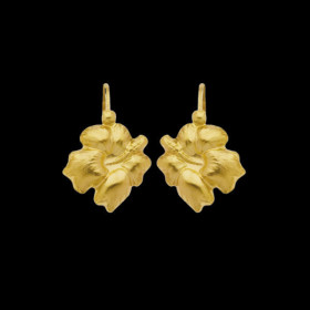 Boucles d&rsquo;oreilles en or