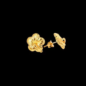 Bijoux Créoles
