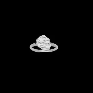 Silver ring with map of French-speaking islands