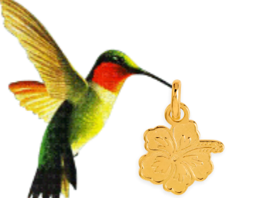 Bijoux Creoles