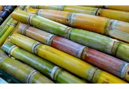 La Guadeloupe